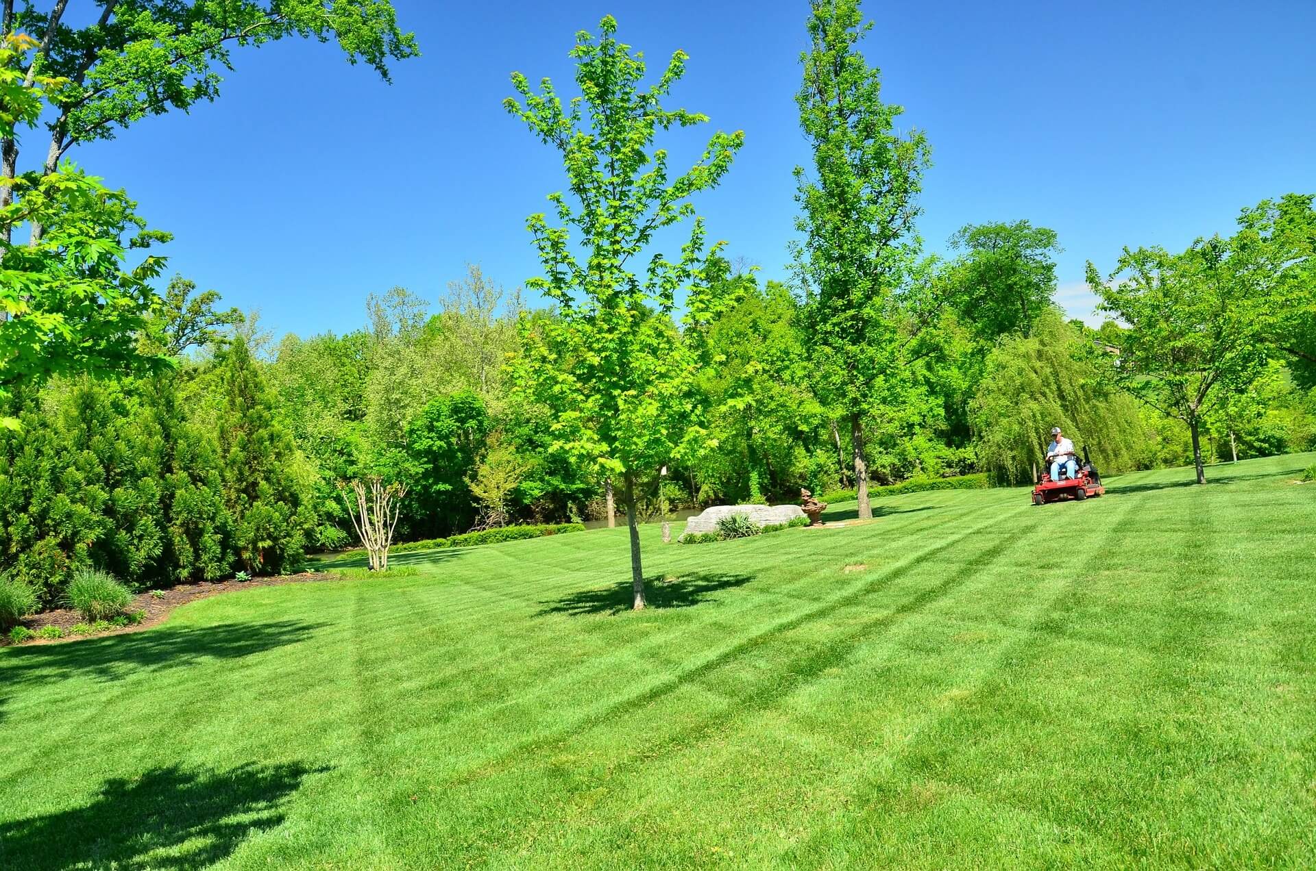 Are Lawn Care Companies Worth It